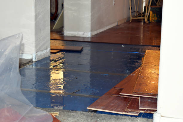 Professional Burst Pipe Cleanup technician working in Paige, TX